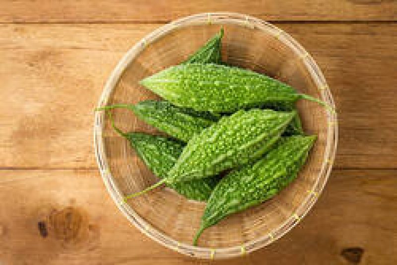 Bitter Gourd