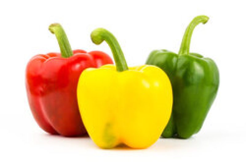CAPSICUM