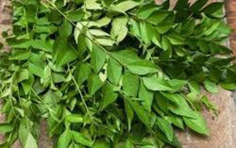 CURRY-LEAVES