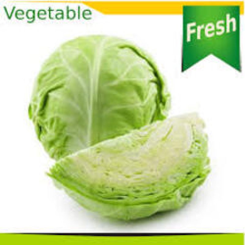 Cabbage
