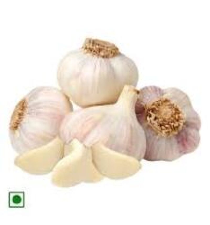 GARLIC