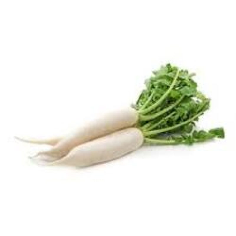 RADDISH