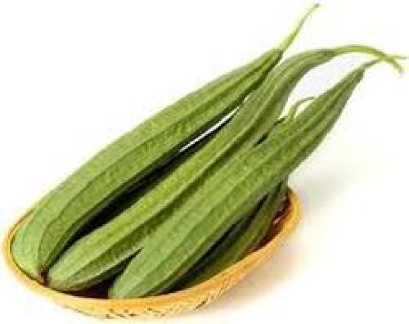 RIDGE GOURD