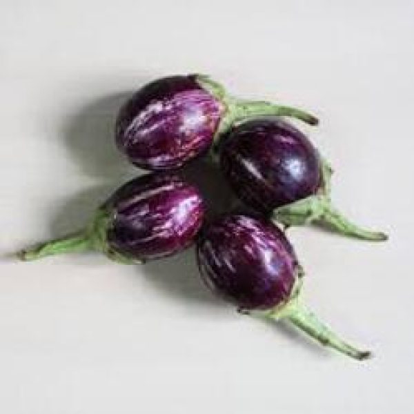 INDIAN AUBERGINE